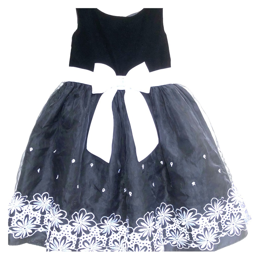 Adorable Sweet Heart Rose dress, size 5